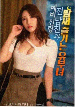 雾港回声小说封面